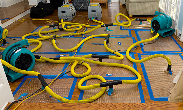 Professional Sewage Cleanup technician working in Broadview Heights, OH